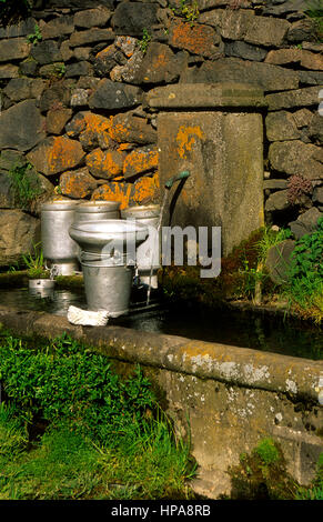 Lattine di latte vicino a una fontana, Puy de Dome, Auvergne Rhone Alpes, Francia Foto Stock
