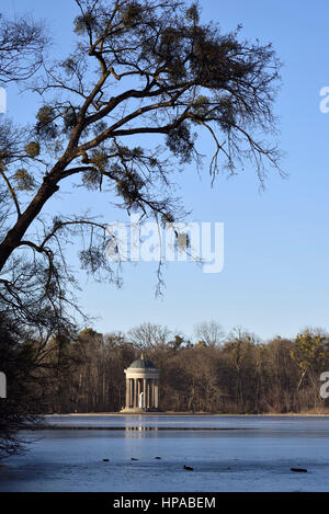 Vischio su un albero di fronte lago ghiacciato e il tempio di Apollo, il palazzo di Nymphenburg Park, Monaco di Baviera, Germania Foto Stock