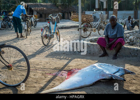 Il concessionario di pesce si prepara ray per vendere al mercato del pesce di Nungwi village, Zanzibar. La pesca è la principale attività della popolazione locale sull'isola. Essi prendono diverse specie di pesci, specialmente kingfish, tonno, marlin, Ray. Ci sono alcuni posti dove i pescatori per la maggior parte delle catture di acciughe, localmente denominata Dagaa. Oltre che con il pesce per ristoranti ed hotel che possono essere venduti anche alla terraferma. Foto Stock