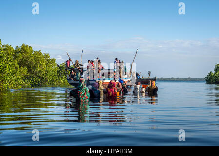 La gente a piedi attraverso acqua con secchi nella loro mano per acquistare acciughe, localmente chiamato Dagaa, dalle barche di pescatori nel villaggio di Mkokotoni, Zanzibar. Queste persone lavorano come corrieri di pesce, prendono il pesce da barche e portarlo ai clienti che poi preparare il pesce per l'asciugatura. Foto Stock