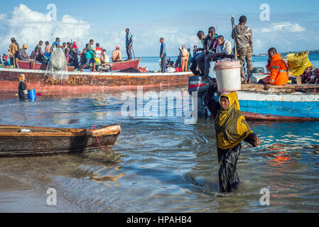 La gente a piedi attraverso acqua con secchi nella loro mano per acquistare acciughe, localmente chiamato Dagaa, dalle barche di pescatori nel villaggio di Mkokotoni, Zanzibar. Queste persone lavorano come corrieri di pesce, prendono il pesce da barche e portarlo ai clienti che poi preparare il pesce per l'asciugatura. Foto Stock