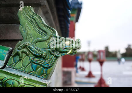 In ceramica verde testa di drago su una parete esterna presso il tempio del cielo di Pechino Foto Stock