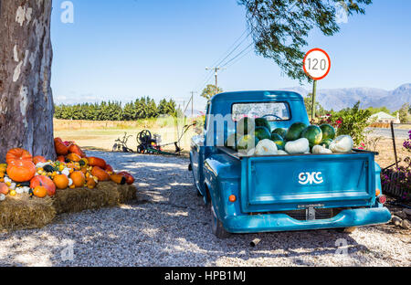 Vecchio carrello con frutta e verdura harvest caricato parcheggiate accanto all'autostrada sotto l'ombra di una struttura ad albero Foto Stock