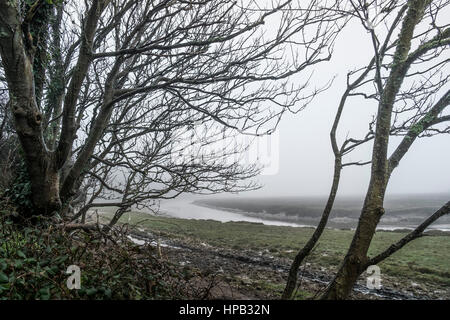 Regno Unito meteo nebbioso giorno. Gannel Estuary Newquay Cornwall Foto Stock