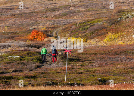 BJORKLIDEN, Svezia il 21 settembre. Vista di un sentiero di montagna, via il 21 settembre 2016 in Bjorkliden, Svezia. Unidentified giovane sul modo è il Foto Stock