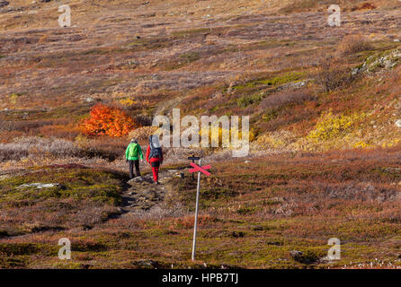 BJORKLIDEN, Svezia il 21 settembre. Vista di un sentiero di montagna, via il 21 settembre 2016 in Bjorkliden, Svezia. Unidentified giovane sul modo è il Foto Stock