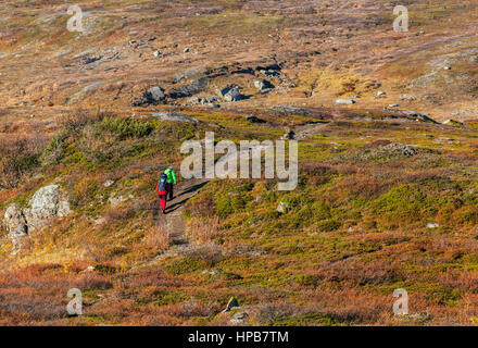 BJORKLIDEN, Svezia il 21 settembre. Vista di un sentiero di montagna, via il 21 settembre 2016 in Bjorkliden, Svezia. Unidentified giovane sul modo è il Foto Stock