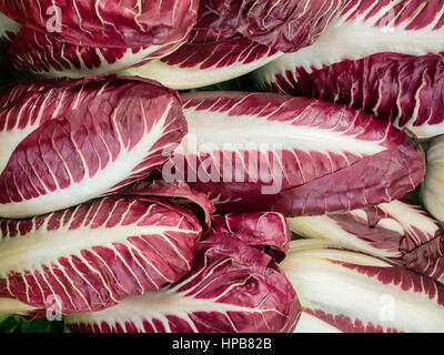 Il radicchio rosso su un mercato degli agricoltori a Roma Foto Stock