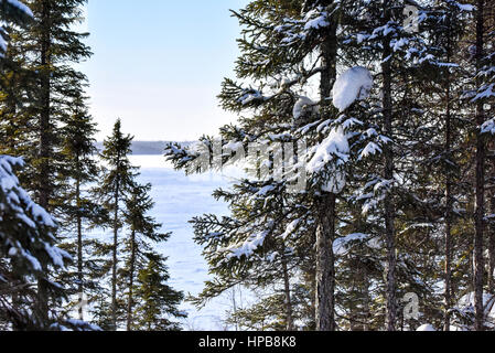 Inverno Nord del Québec Foto Stock