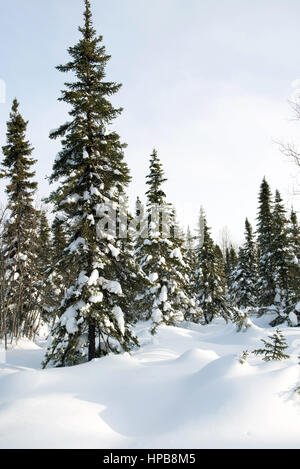 Winter Landscape, Northern Quebec Foto Stock