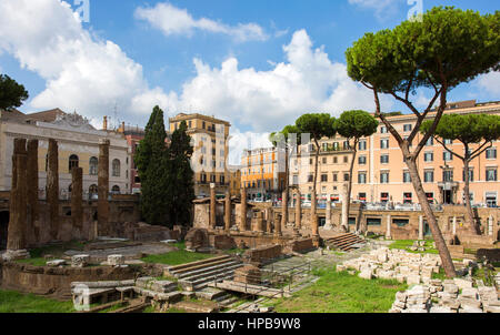 Largo di Torre Argentina, Roma, Lazio, l'Italia, Europa Foto Stock