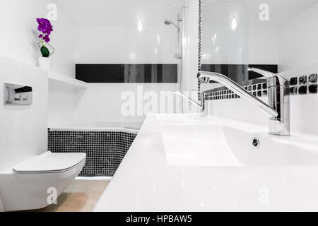 Elegante bagno interno con due classico bianco lavandini e rubinetti Foto Stock