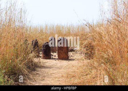 Historic Wassu stone circle megaliti vicino al fiume Gambia Foto Stock