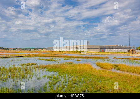 I campi di salato in Nin, Croazia. Foto Stock