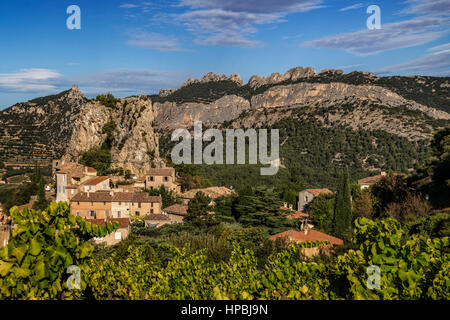 Viticoltura, La Roque Alric, Montmirail Pizzi, Vaucluse Francia, Europa Foto Stock