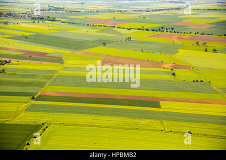 Agricoltura, campi a est di Danzica, campo pattern, Pręgowo Zulawskie, Pomorskie, Polonia Foto Stock