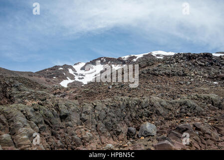 Il Monte Ruapehu con una coperta di neve cap paesaggio in estate, il Parco nazionale di Tongariro, Nuova Zelanda, Isola del nord Foto Stock