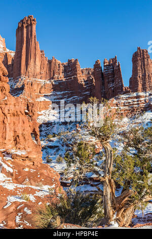 Un albero di ginepro in mezzo alle torri di Fisher formazioni rocciose nei pressi di Moab, Utah Foto Stock