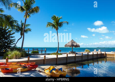 Florida,Upper Key Largo Florida Keys,Florida Bay,Kona Kai Resort,Gallery & Botanic Gardens,hotel,spiaggia privata,molo,vista panoramica,kayak,palme,tiki Foto Stock