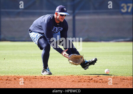 Port Charlotte, Florida, Stati Uniti d'America. Xvii Feb, 2017. Sarà VRAGOVIC | Orari.Tampa Bay Rays interbase Daniel Robertson (36) Campi palle di massa durante un allenamento primaverile di allenamento a Charlotte Sports Park in Port Charlotte, Fla. Venerdì 17 Febbraio, 2017. Credito: Sarà Vragovic/Tampa Bay volte/ZUMA filo/Alamy Live News Foto Stock