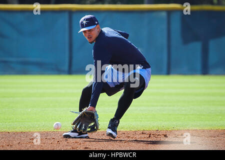 Port Charlotte, Florida, Stati Uniti d'America. Xvii Feb, 2017. Sarà VRAGOVIC | Orari.Tampa Bay Rays shorstop Willy Adames (27) Campi palle di massa durante un allenamento primaverile di allenamento a Charlotte Sports Park in Port Charlotte, Fla. Venerdì 17 Febbraio, 2017. Credito: Sarà Vragovic/Tampa Bay volte/ZUMA filo/Alamy Live News Foto Stock