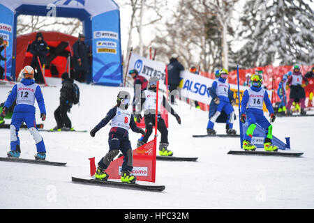 Hokkaido, Giappone. Xx Febbraio 2017. Asa Toyoda (JPN) Snowboard : Slalom speciale femminile durante il 2017 Sapporo dei Giochi Invernali Asiatici a Sapporo Teine in Hokkaido, Giappone . Credito: AFLO SPORT/Alamy Live News Foto Stock