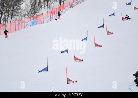 Hokkaido, Giappone. Xx Febbraio 2017. Asa Toyoda (JPN) Snowboard : Slalom speciale femminile durante il 2017 Sapporo dei Giochi Invernali Asiatici a Sapporo Teine in Hokkaido, Giappone . Credito: AFLO SPORT/Alamy Live News Foto Stock