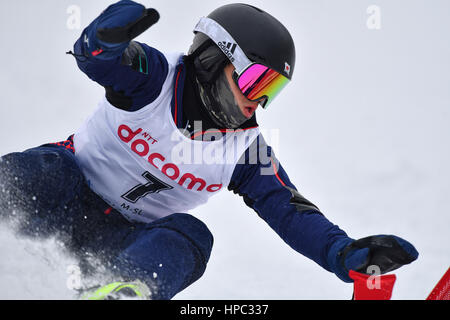 Hokkaido, Giappone. Xx Febbraio 2017. Takumi Miyazawa (JPN) Snowboard : Slalom Speciale maschile durante il 2017 Sapporo dei Giochi Invernali Asiatici a Sapporo Teine in Hokkaido, Giappone . Credito: AFLO SPORT/Alamy Live News Foto Stock