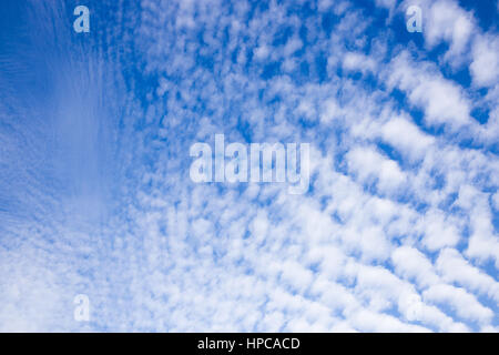 Cirrocumulus nuvole sopra Wiesmoor, Eastfrisa Foto Stock