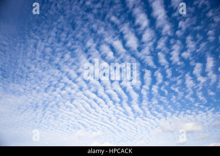 Cirrocumulus nuvole sopra Wiesmoor, Eastfrisa Foto Stock