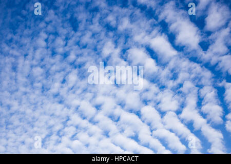 Cirrocumulus nuvole sopra Wiesmoor, Eastfrisa Foto Stock