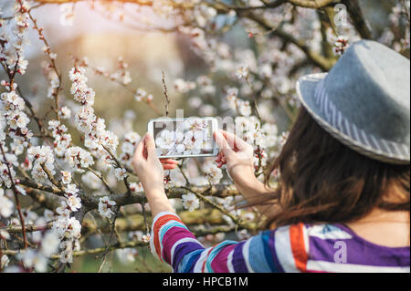 Giovane donna in un cappello prende sullo smartphone fiori di primavera sugli alberi Foto Stock