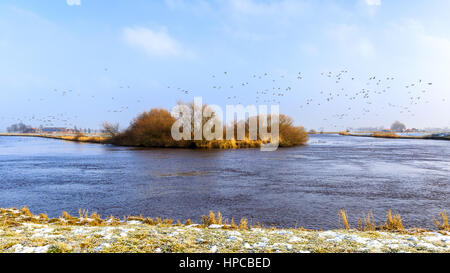 Un ansa del fiume leda in Frisia orientale vicino alla città di Leer Foto Stock