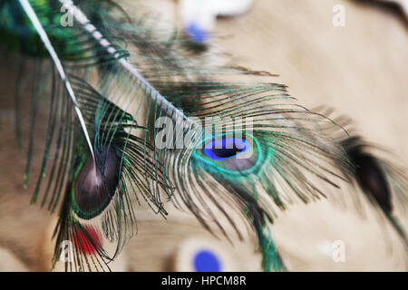 Peacock Feather, Peacock Feather in the Light | Beautiful color from nature. (Foto Copyright © di Saji Maramon) Foto Stock