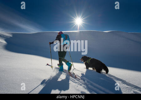 Ragazza fa sci alpinismo con il suo cane al sole Foto Stock