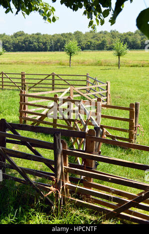 Un groviglio di recinti di legno in un pascolo vicino ad una fattoria. Foto Stock