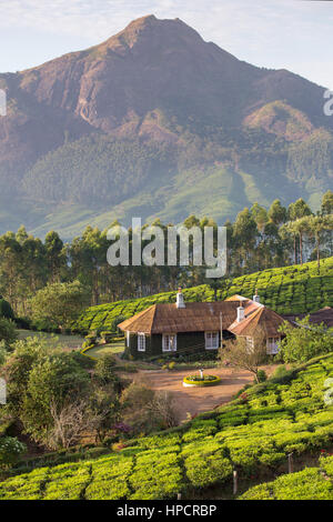 Casa nel centro di piantagioni di tè in Munnar Kerala, India Foto Stock