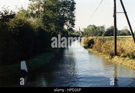 Danni ad albero vicino a Hatfield Broad Oak dopo la grande tempesta di 87 Foto Stock