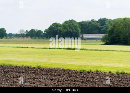 Tipico olandese paesaggio agricolo con i campi e prati Foto Stock