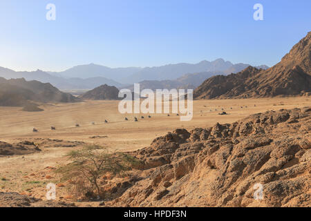 Caravan moto quad nel deserto in Egitto Foto Stock