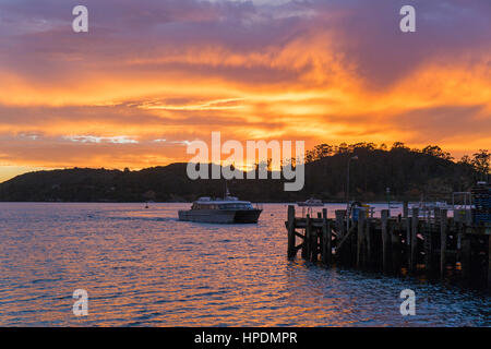Oban, Isola Stewart, Southland, Nuova Zelanda. Cielo colorato riflessa nell'acqua all'alba, Halfmoon Bay, traghetto avvicinando jetty. Foto Stock