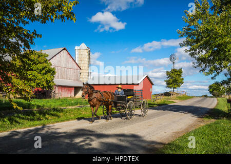 Cavallo Amish e passeggini lungo le strade rurali vicino Kidron, Ohio, Stati Uniti d'America. Foto Stock