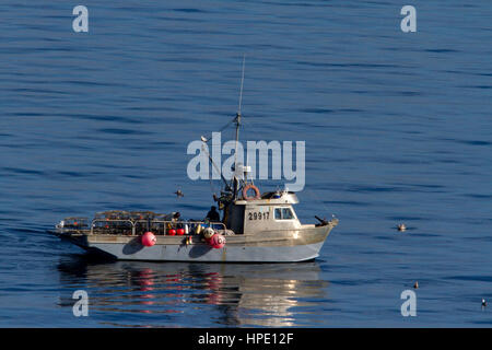 Barca da pesca la pesca di aringa del Pacifico in stretto di Georgia (Salish Sea) nei pressi di Nanaimo, Isola di Vancouver, BC, Canada Foto Stock