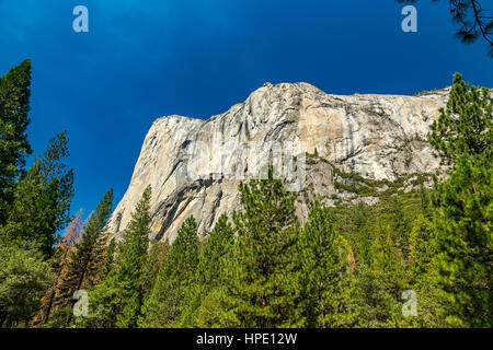 El Capitan (spagnolo per il capitano, il capo) è una roccia verticale formazione nel Parco Nazionale di Yosemite, situato sul lato nord della valle di Yosemite, Foto Stock