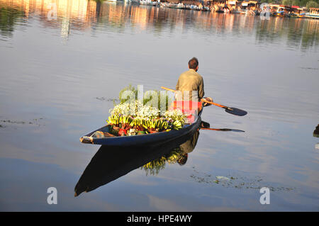 Uomo fiorito che paddling la sua barca in cerca di cliente. Dal Lake, Kashmir, barca di fiori | fiori bellissimi, floreali, fiori d'amore (© Saji Maramon) Foto Stock