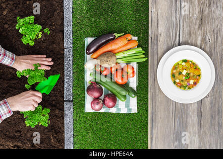 Il cibo dalla fattoria alla tavola: agricoltore di piantare le piantine in giardino, ortaggi raccolti e gustosa minestra in un piatto Foto Stock