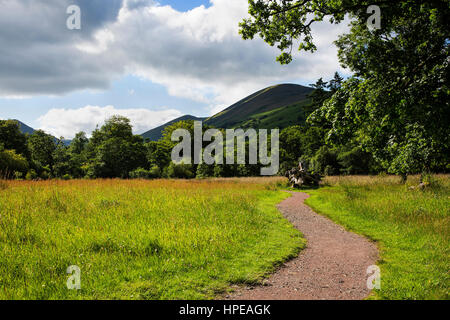 Un paesaggio sulle rive di Loch Lomond, in Scozia Foto Stock