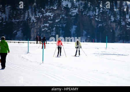 Piste da fondo in Engadina, Svizzera Foto Stock