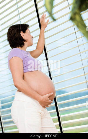 Modello rilasciato , Schwangere Frau sieht aus dem Fenster - donna incinta guarda fuori della finestra Foto Stock