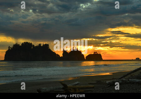 Tramonto a la spiaggia di Push, nello Stato di Washington Costa, STATI UNITI D'AMERICA, adiacente al parco nazionale di Olympic Foto Stock